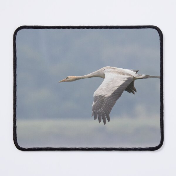 Item preview, Common Crane designed and sold by LaurenTucker.