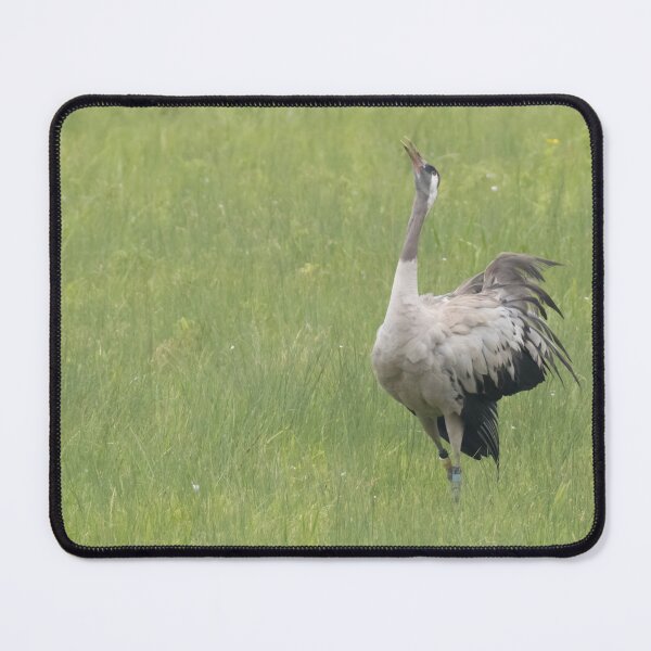 Item preview, Common Crane designed and sold by LaurenTucker.