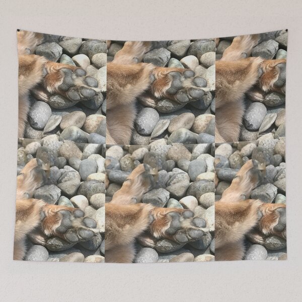 Item preview, Paws on Pebbles designed and sold by Jill L. Ferguson.