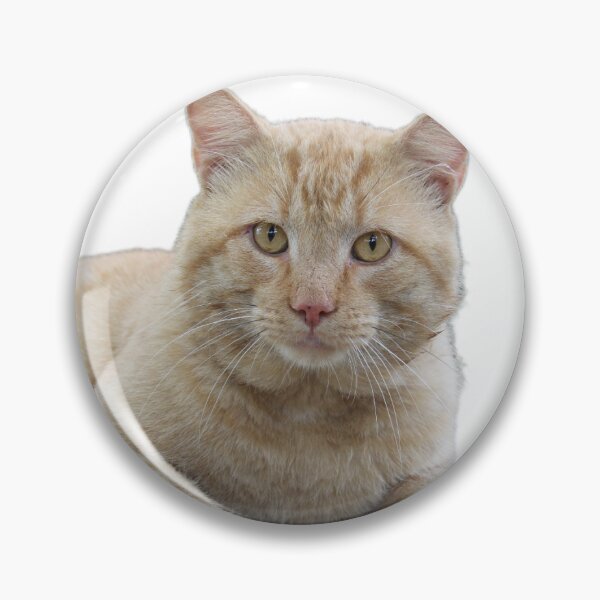 Item preview, I love cats  designed and sold by McFleur's Lens.
