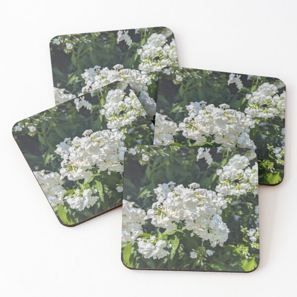 Item preview, White Flowers designed and sold by Margwizart.