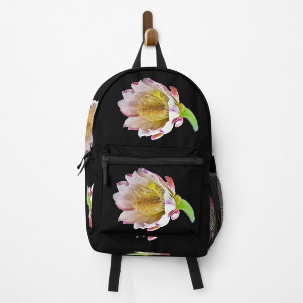 Item preview, Peruvian Apple Cactus Flower designed and sold by Creative Endeavors ..