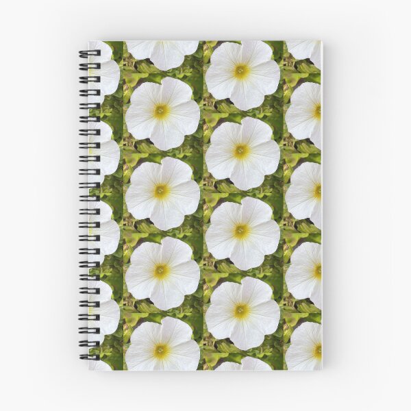 Item preview, White Petunia Photograph designed and sold by Shannon Greve.