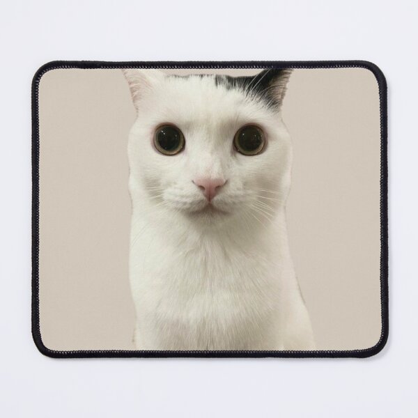 Item preview, Cat meme  designed and sold by Darlingshein.