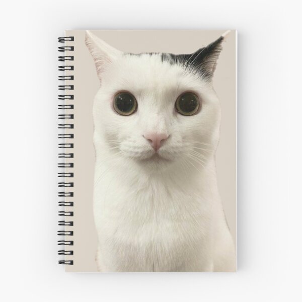 Item preview, Cat meme  designed and sold by Darlingshein.