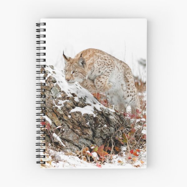Item preview, Pouncing Siberian Lynx designed and sold by WesDotPhotography.