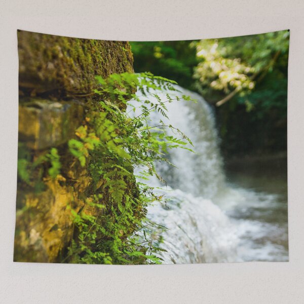 Item preview, Ferns Framing the Waterfall designed and sold by SamanthaDrake.