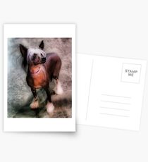 Chinese Crested Postcards
