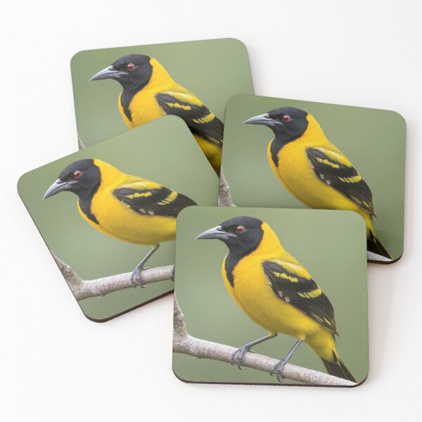 Item preview, Beautiful Black Hooded Oriole designed and sold by laguitan10.