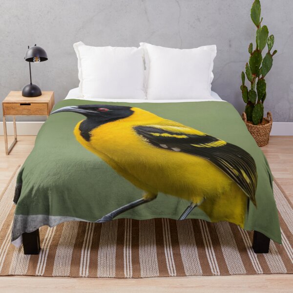 Item preview, Beautiful Black Hooded Oriole designed and sold by laguitan10.