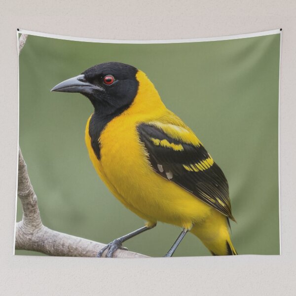 Item preview, Beautiful Black Hooded Oriole designed and sold by laguitan10.