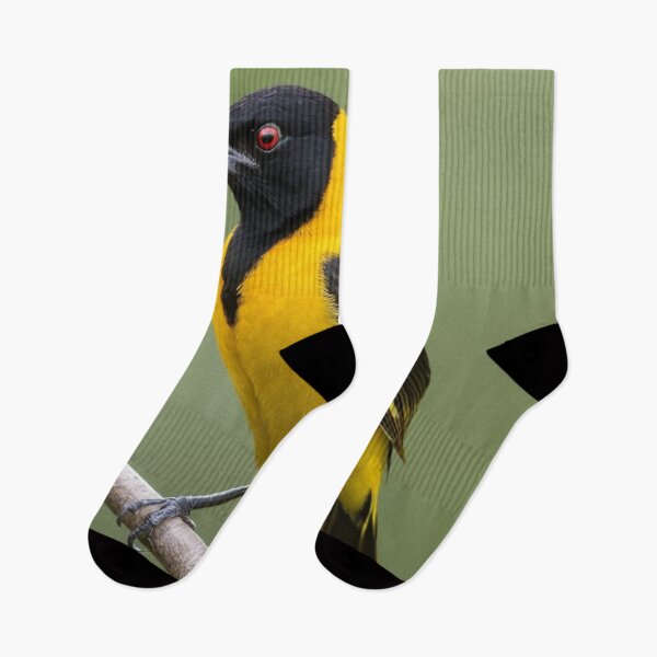 Item preview, Beautiful Black Hooded Oriole designed and sold by laguitan10.