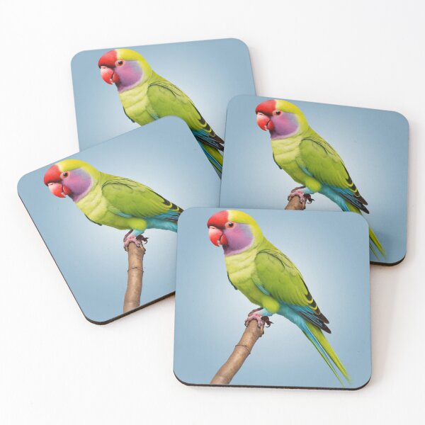 Item preview, Beautiful Plum Headed Parakeet designed and sold by laguitan10.