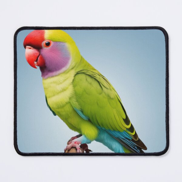 Item preview, Beautiful Plum Headed Parakeet designed and sold by laguitan10.