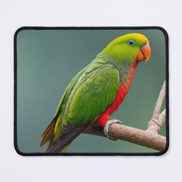 Item preview, Sri Lankan Hanging Parrot  designed and sold by laguitan10.