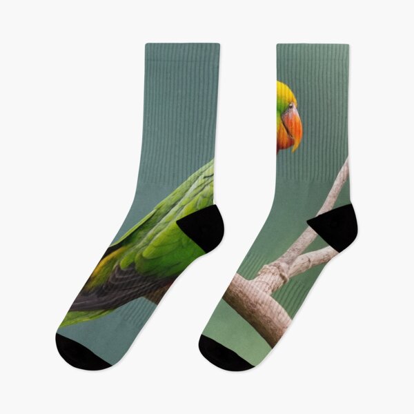 Item preview, Sri Lankan Hanging Parrot  designed and sold by laguitan10.