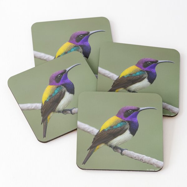 Item preview, Pretty Purple Rumped Sunbird designed and sold by laguitan10.