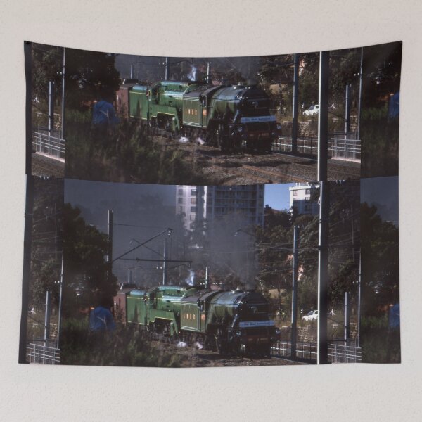 Item preview, Flying Scotsman & 3801 @ Parramatta 1989 designed and sold by muz2142.