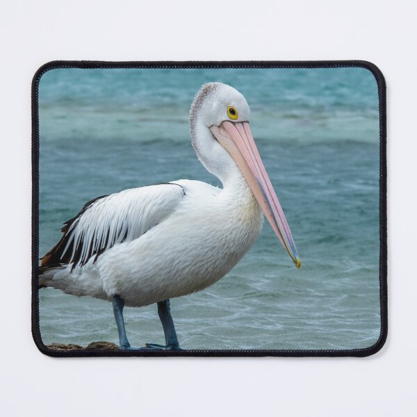 Item preview, Pelican designed and sold by chrismphotog.