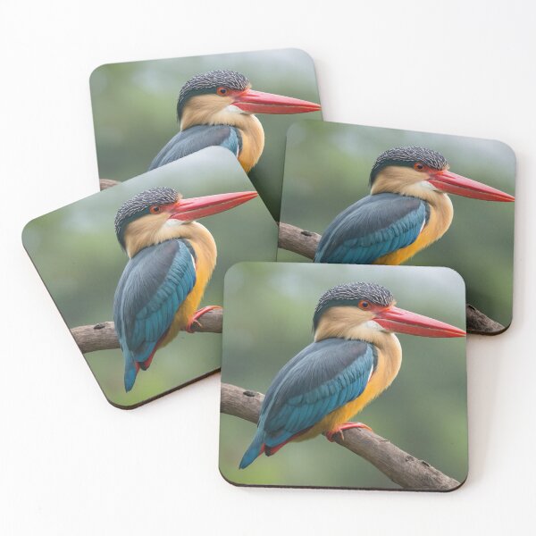 Item preview, Beautiful Stork billed Kingfisher designed and sold by laguitan10.
