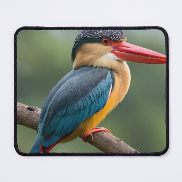 Item preview, Beautiful Stork billed Kingfisher designed and sold by laguitan10.