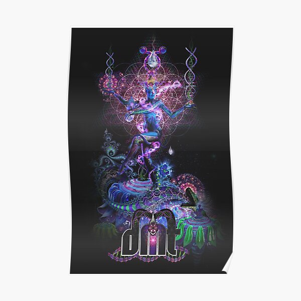 DMT "Serpentine Apotheosis" Poster