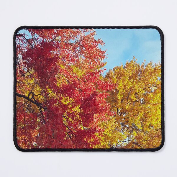 Item preview, Autumn Change of Colors, Red, Yellow Leaves designed and sold by WhiteSoftPetals.
