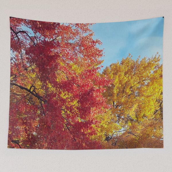 Item preview, Autumn Change of Colors, Red, Yellow Leaves designed and sold by WhiteSoftPetals.