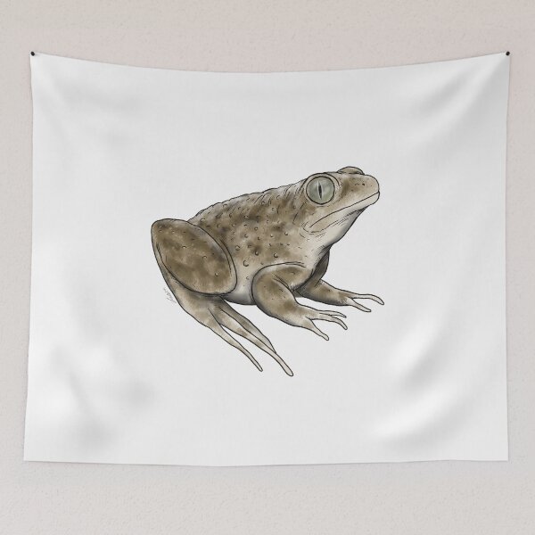 Item preview, Realistic illustration of a toad designed and sold by lucamendieta.