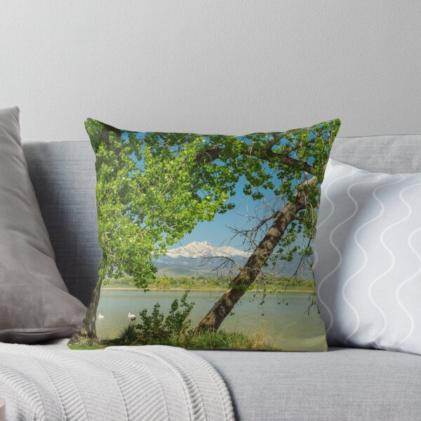 Item preview, Two Pelican Twin Peaks Springtime View designed and sold by Bo Insogna.