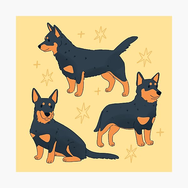 Item preview, Lancashire Heeler dog trio illustration  designed and sold by YaraCuteArt.