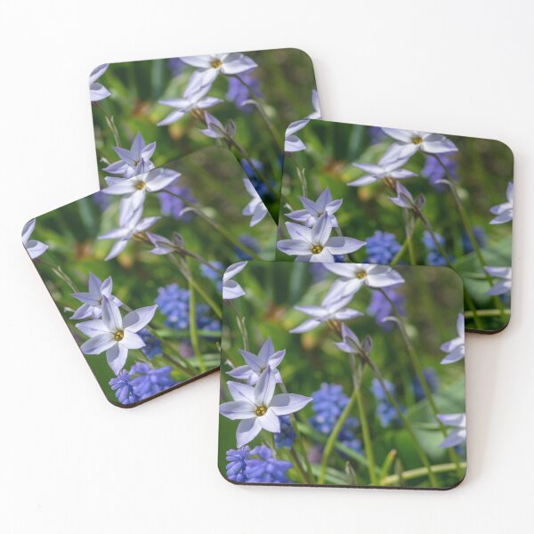 Item preview, RHS Wisley Gardens, Surrey – Bluebells and White Flowers in Bloom designed and sold by ThatSurreyLife.