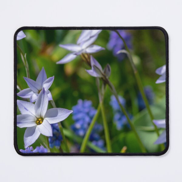 Item preview, RHS Wisley Gardens, Surrey – Bluebells and White Flowers in Bloom designed and sold by ThatSurreyLife.
