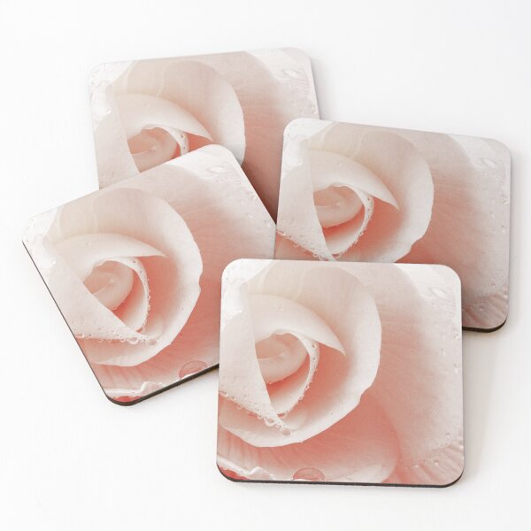 Item preview, RHS Wisley Gardens, Surrey – Light Pink Rose Flower Close-Up designed and sold by ThatSurreyLife.