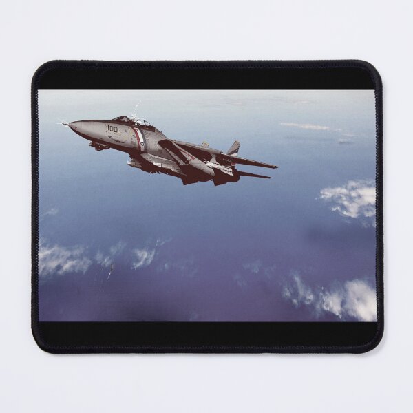 Aperçu de l'œuvre F-14 créée et vendue par FisherArt.