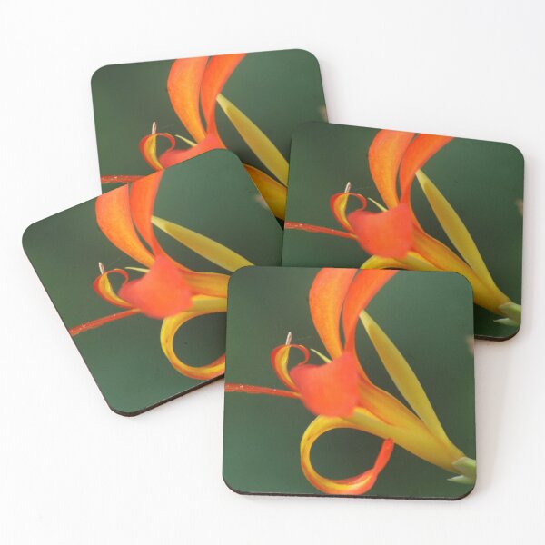 Item preview, Canna Paniculata at RHS Wisley Gardens, Surrey – Vibrant Orange Blooms designed and sold by ThatSurreyLife.