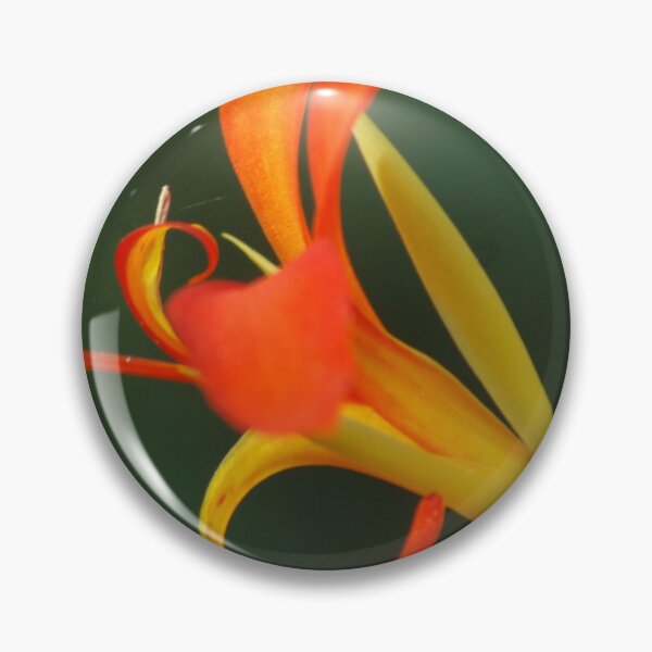 Item preview, Canna Paniculata at RHS Wisley Gardens, Surrey – Vibrant Orange Blooms designed and sold by ThatSurreyLife.