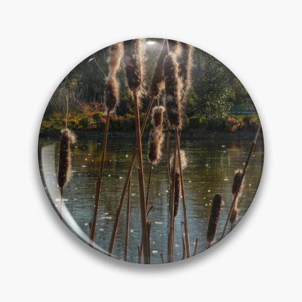 Item preview, Reeds and Bulrushes at RHS Wisley Gardens, Surrey – Tranquil Waterside Naturev designed and sold by ThatSurreyLife.