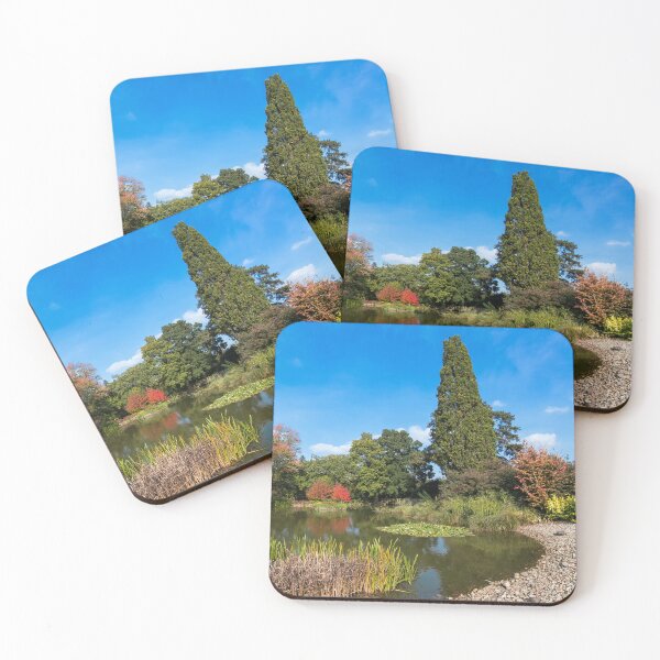 Item preview, RHS Wisley Gardens, Surrey – Autumn Reflections on a Blue Sky Day designed and sold by ThatSurreyLife.