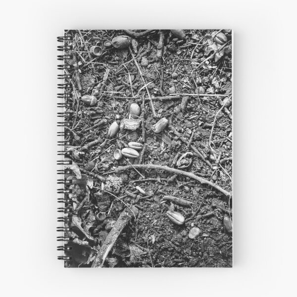 Item preview, Acorns and sticks designed and sold by Terry Cripps.