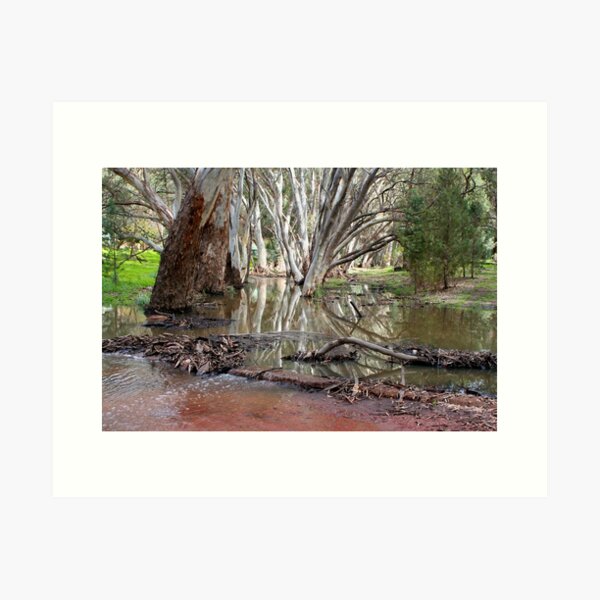 Item preview, Outback creek reflections 2 designed and sold by FranWest.