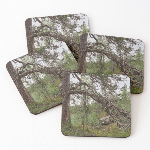 Item preview, Pine with a view. Iisakkipaa designed and sold by Jouko Lehto Photography.