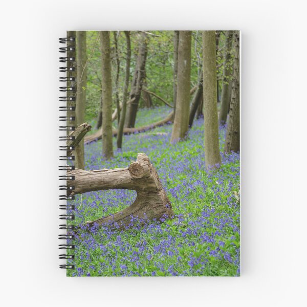 Item preview, Bluebells in Chantry Wood, Guildford – Surrey Hills Springtime Beauty designed and sold by ThatSurreyLife.