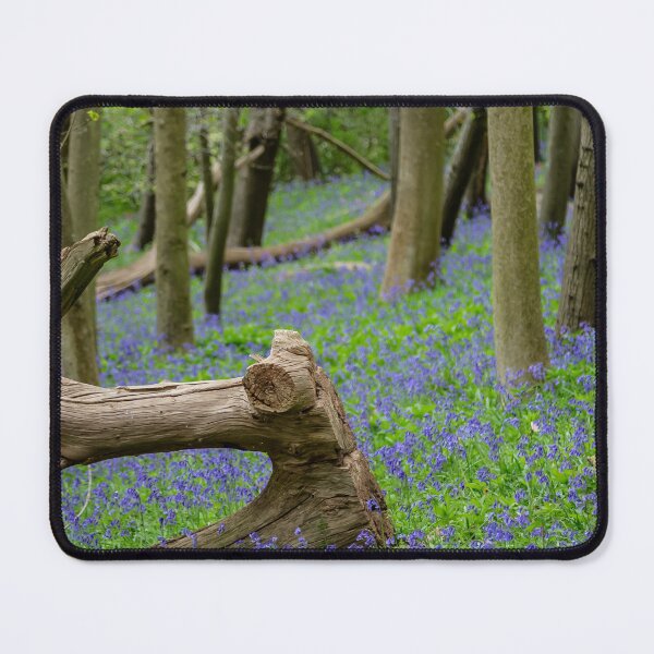 Item preview, Bluebells in Chantry Wood, Guildford – Surrey Hills Springtime Beauty designed and sold by ThatSurreyLife.