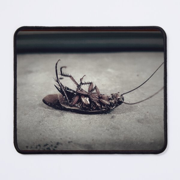 Item preview, Roach designed and sold by Super-Pinhead.