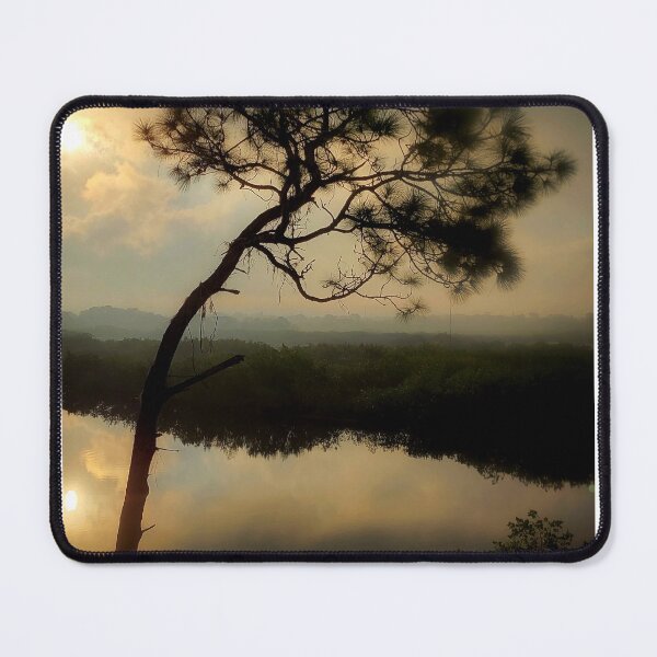 Item preview, Tarpon Springs designed and sold by Super-Pinhead.