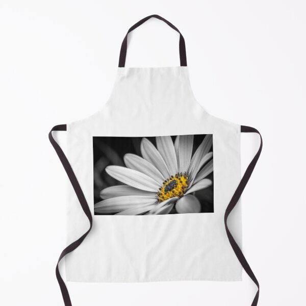 Item preview, African Daisy 3 designed and sold by Nigel R Bell Photography.