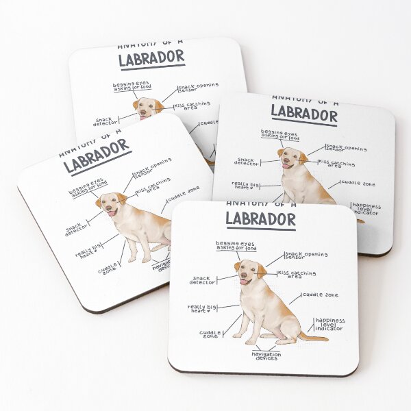 Item preview, Anatomy of a Labrador designed and sold by alies-art.