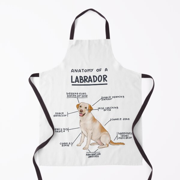 Item preview, Anatomy of a Labrador designed and sold by alies-art.