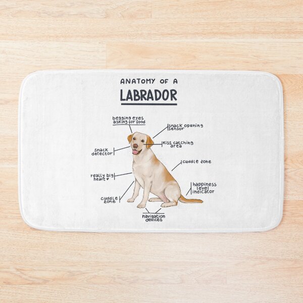 Item preview, Anatomy of a Labrador designed and sold by alies-art.